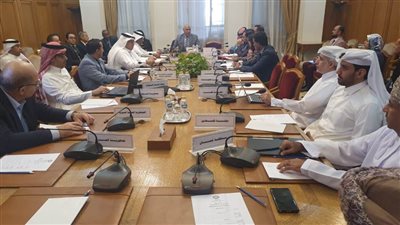 الدليل العربي لمنح التراخيص ومزاولة مهنة التخليص الجمركي