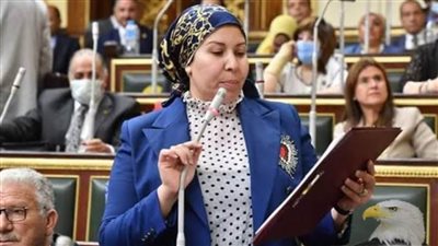 النائبة فايزة صالح تدعو المصريين للنزول والمشاركة في الانتخابات الرئاسية وتؤكد: واجب وطني 