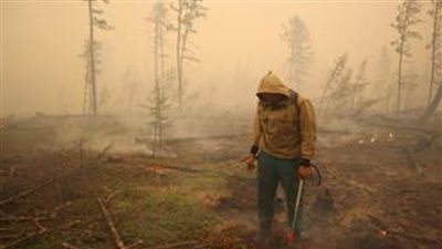 مسؤول إفريقي: بلدان القارة السمراء بحاجة إلى 87 مليار دولار سنويا للتكيف مع المناخ