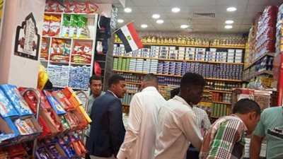 حملات صحية على 15 منشأة غذائية متنوعة في كوم أمبو بأسوان