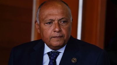  عاجل..شكري يتلقى اتصالاً من أمين عام الأمم المتحدة للتشاور بشأن جهود الحد من الأزمة بغزة