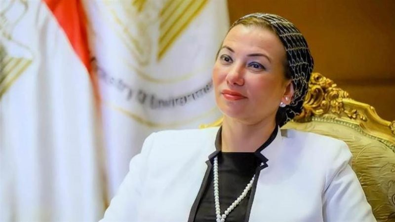 الدكتورة ياسمين فؤاد