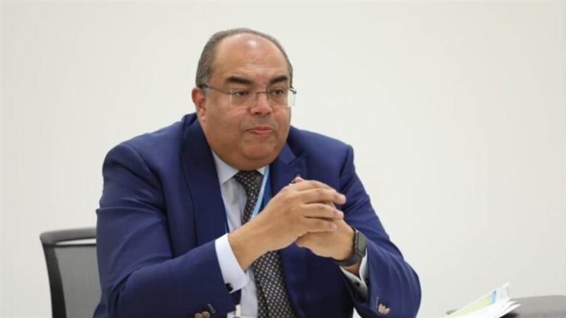 الدكتور محمود محيي