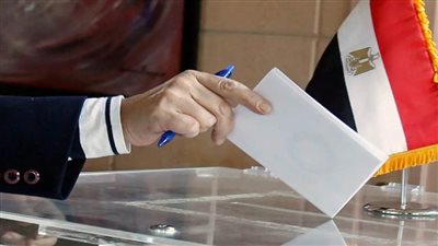 عاجل.. خريطة لجان المغتربين في المحافظات للانتخابات الرئاسية 2024 