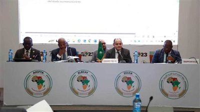 وزير الصناعة يترأس الاجتماع الختامي لمجلس وزراء تجارة منطقة التجارة الحرة الإفريقية