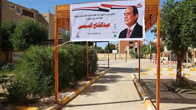 الوادي الجديد تخصص 5 لجان للمغتربين للتصويت في الانتخابات الرئاسية