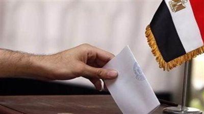 عاجل.. البعثات والمنظمات الدولية تثمن حرص مصر على نزاهة الانتخابات الرئاسية