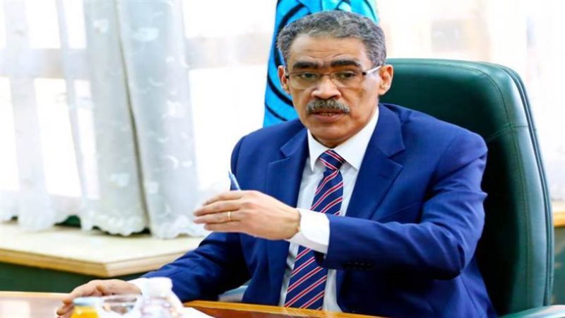 ضياء رشوان رئيس الهيئة