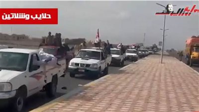 حشود الناخبين في كل محافظات مصر ينافسون في حب الوطن