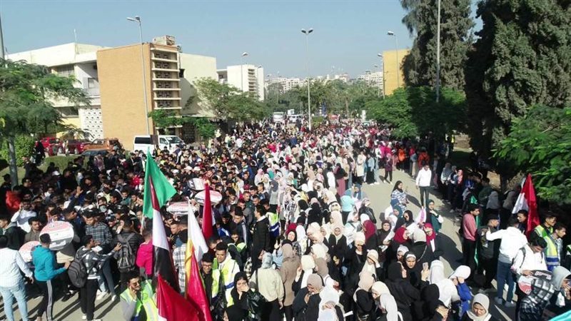 مسيرة جامعة المنصورة