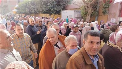 استمرار المشاركة الفعالة داخل مقار الاقتراع بالقليوبية