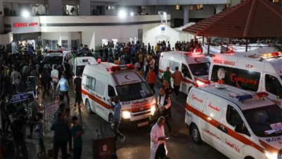 استقبال جرحى فلسطنيين وحملة الجنسيات الأجنبية وإدخال مساعدات إغاثية لغزة
