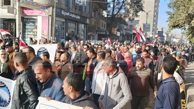 مواطنو كفر الشيخ يضربون أروع الأمثلة في التلاحم الوطني بلجان الانتخابات