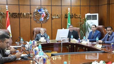 محافظ المنيا: انتظام سير العملية الانتخابية في ثالث أيام انتخابات الرئاسة 2024