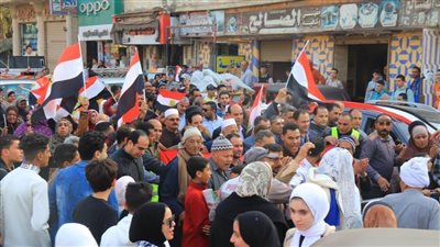 مسيرة بالأعلام المصرية تجوب 