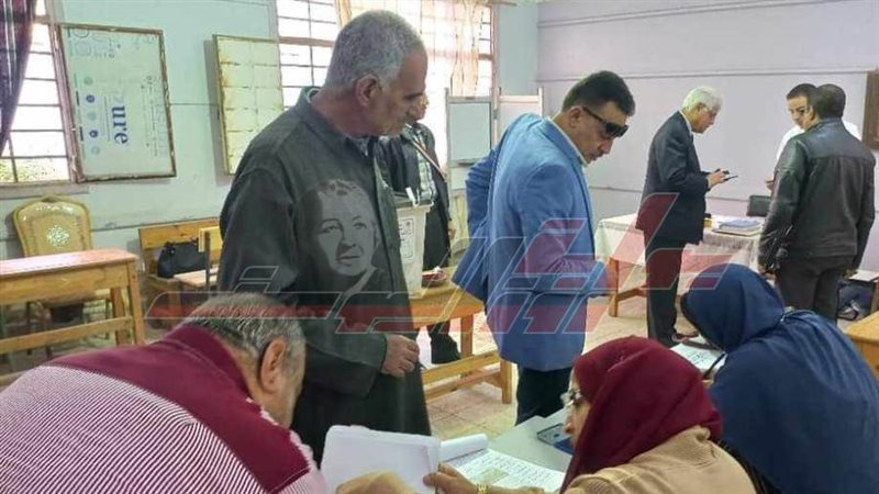 التصويت في اللجان