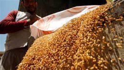 وزير التموين: احتياطي مصر من القمح يكفي 8ر4 شهر.. والزيت 6 شهور