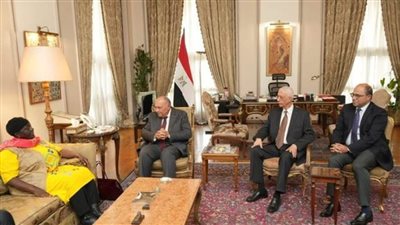 عاجل..شكري: مصر ترحب بإرسال الاتحاد الإفريقي والكوميسا بعثة مشتركة لمتابعة الانتخابات الرئاسية
