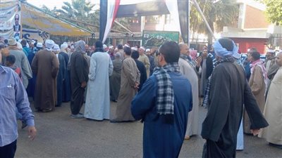 المشاركة التاريخية في انتخابات الرئاسة .. صفعة قوية على وجه قوى الشر