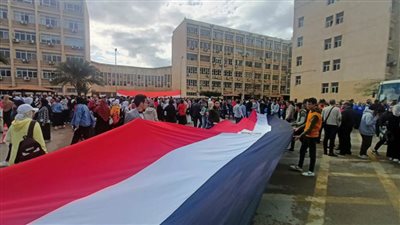 مسيرات حاشدة تجوب معظم محافظات مصر للمشاركة في الانتخابات (فيديو)