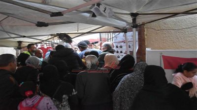 أستاذ علوم سياسية: الانتخابات شهدت إقبالًا كثيفًا منذ الساعات الأولي ليدئها