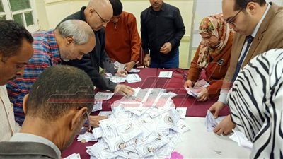 بدء فرز الأصوات في الانتخابات الرئاسية داخل اللجان الفرعية بالدقهلية