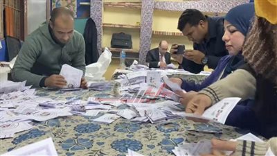 تعرف على إجراءات الفرز وإعلان النتائج 