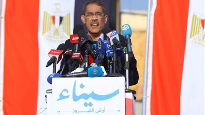 ضياء رشوان: مصر تواصل جهودها الكثيفة لاستمرار دخول المساعدات للأشقاء في قطاع غزة