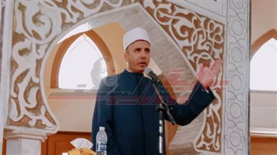 د. صفوت عمارة: اللغة العربية درة تاج اللغات