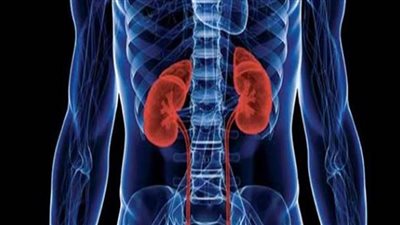 دراسة أيرلندية: ارتفاعات مقلقة في أمراض الكلى لدى البالغين الأيرلنديين فوق 50 عاما