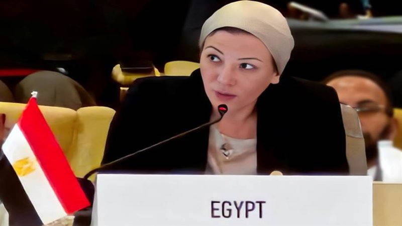 الدكتورة ياسمين فؤاد