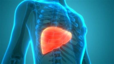 باحثون بجامعة بكين: الإصابة بالكبد الدهني تؤثر سلبًا على ظائف الرئة 