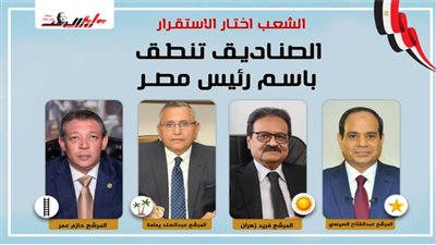 الشعب اختار الاستقرار .. الصناديق تنطق باسم رئيس مصر