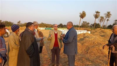 حملات تفتيشية على مفارش البصل بالدقهلية والفيوم