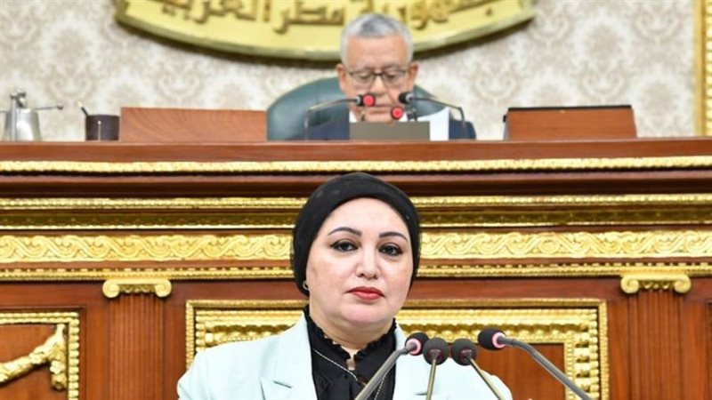 النائبة سولاف درويش