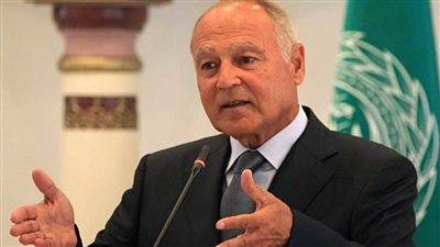 أبو الغيط: لا يمكن تصفية القضية الفلسطينية ومن يقف ضد وقف إطلاق النار يحمل على يديه دماء الأبرياء