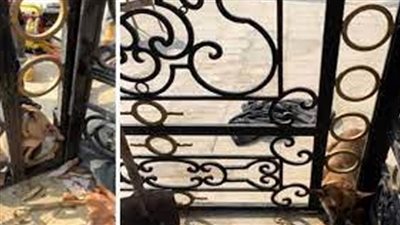 عاجل| الحماية المدنية تنقذ 