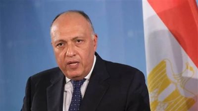 بدء مباحثات وزير الخارجية مع نظيره البريطاني بالقاهرة