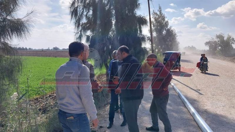 زراعة الأعمدة