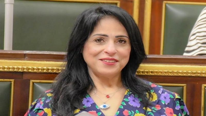 النائبة ميرال جلال