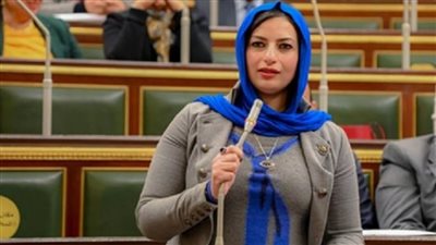 النائبة آيات الحداد تتقدم باقتراح للنواب لاستخدام ألواح الطاقة الشمسية في حماية الأنهار