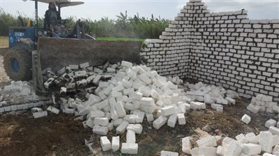 إزالة 11 حالة تعدٍ على الأراضي الزراعية وأملاك الدولة بالبحيرة