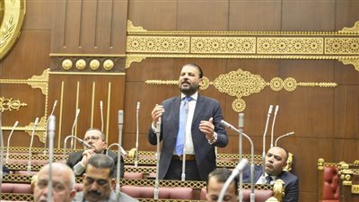 النائب محمد عريبي: محور قناة السويس مركزا عالميا لجذب الاستثمارات وزيادة العملة الأجنبية