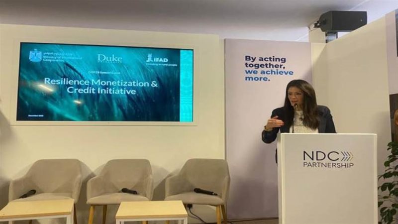 التعاون الدولي