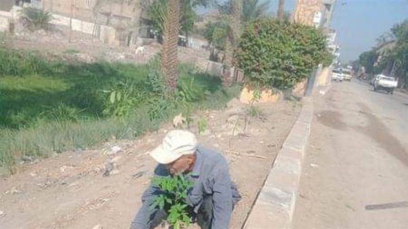 زراعة أشجار مثمرة