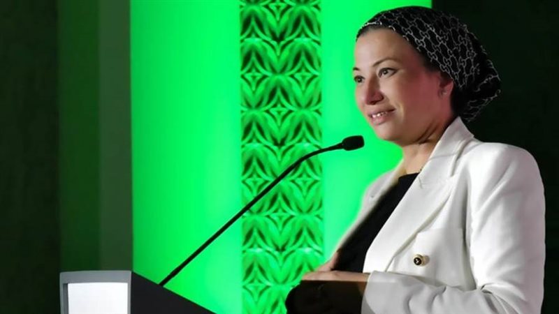 الدكتورة ياسمين فؤاد