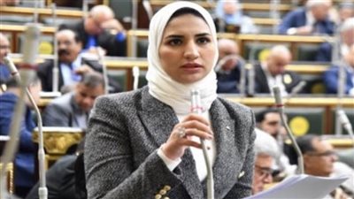 برلمانية: استكمال مراحل الحوار الوطني استمرار للنهج الصحيح نحو إثراء الحياة السياسية