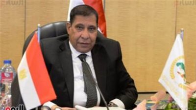 رئيس مجلس الدولة: نبذل جهودا كبيرة لإنجاز عملية التحول الرقمي في إجراءات التقاضي