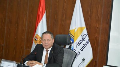 رئيس جامعة دمياط: مراكز التطوير المهني تهدف لبناء خريجين قادرين على مواكبة سوق العمل