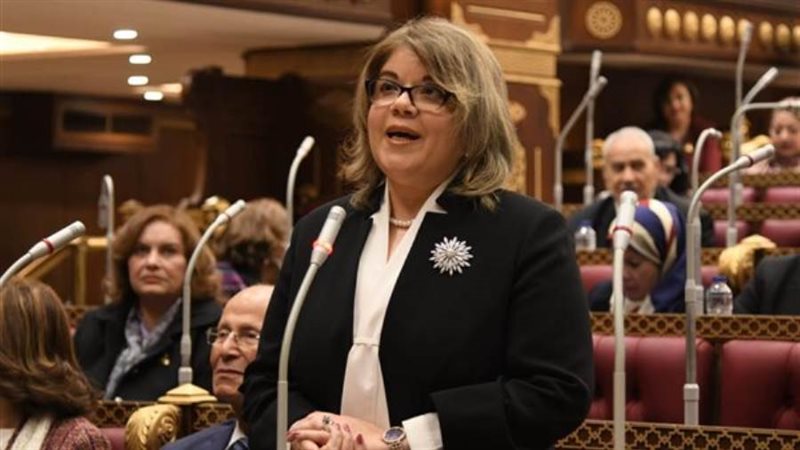 النائبة فيبي فوزي